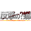 反撃の蟑螂 (attack by cockroach)