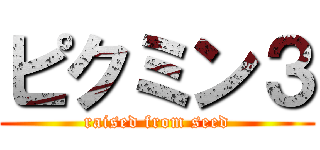 ピクミン３ (raised from seed)