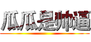 瓜瓜是帅逼 ()