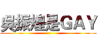 吳振煌是ＧＡＹ ()