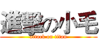 進擊の小毛 (attack on titan)