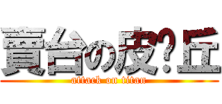 賣台の皮卡丘 (attack on titan)