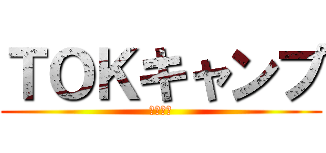 ＴＯＫキャンプ (２０１３)