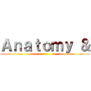 Ａｎａｔｏｍｙ ＆ ()