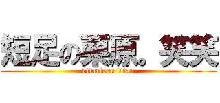 短足の栗原。笑笑 (attack on titan)