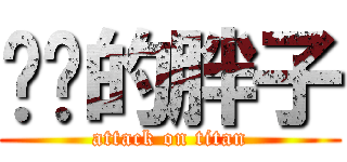 进击的胖子 (attack on titan)