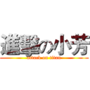 進擊の小芳 (attack on titan)