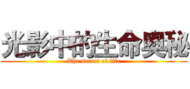 光影中的生命奥秘 (The secret of life)