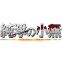 純淨の小無 (attack on titan)