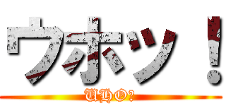 ウホッ！ (UHO！)
