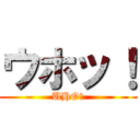 ウホッ！ (UHO！)