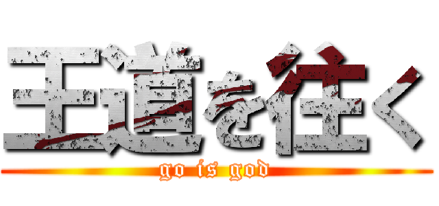 王道を往く (go is god)