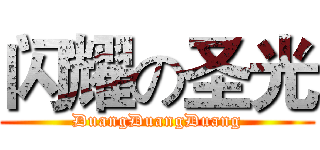 闪耀の圣光 (DuangDuangDuang)