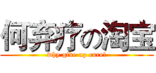 何弃疗の淘宝 (why give up cure!)