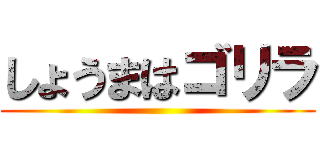 しょうまはゴリラ ()