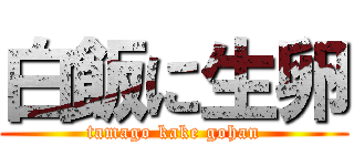 白飯に生卵 (tamago kake gohan)