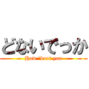 どないでっか (How \'bout you)