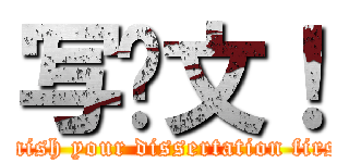 写论文！ (finish your dissertation first)