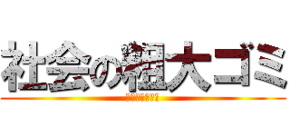 社会の粗大ゴミ (社会の粗大ゴミ)