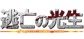 逃亡の光生 (Fugitive　mitsu_nama)