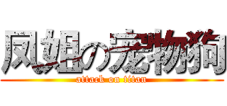 凤姐の宠物狗 (attack on titan)