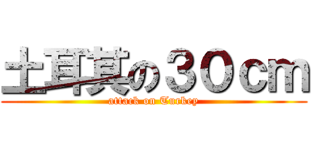 土耳其の３０ｃｍ (attack on Turkey)