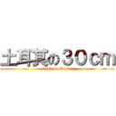 土耳其の３０ｃｍ (attack on Turkey)