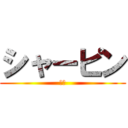 シャーピン (焼餅)