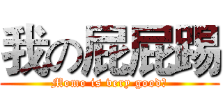 我の屁屁踢 (Momo is very good！)