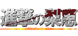 進撃の梨恵 (attack on rie)