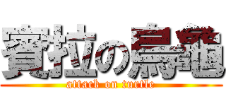 賓拉の烏龜 (attack on turtle)