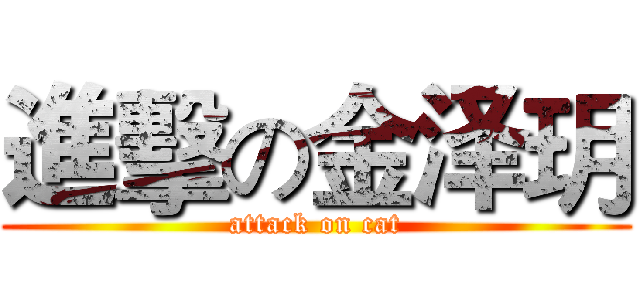 進擊の金泽玥 (attack on cat)