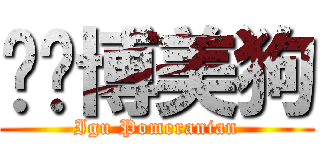 咿咕博美狗 (Igu Pomeranian)