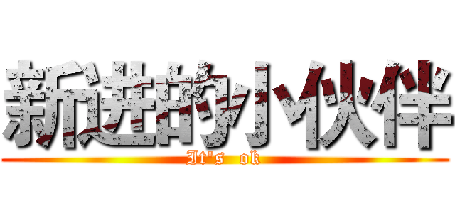 新进的小伙伴 (It's  ok)