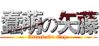 蠢萌の矢藤 (Attack On Cay )