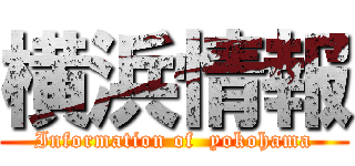 横浜情報 (Information of  yokohama)