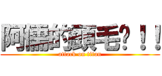 阿儒的頭毛啊！！ (attack on titan)