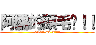 阿儒的頭毛啊！！ (attack on titan)
