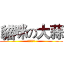 貓咪の大蒜 (英文不會拼)