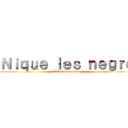 Ｎｉｑｕｅ ｌｅｓ ｎｅｇｒｏ (Et les bougnoules)