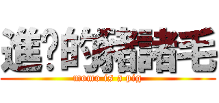 進擊的豬諸毛 (momo is a pig)
