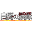 白痴の振慷 (attack on jusco)