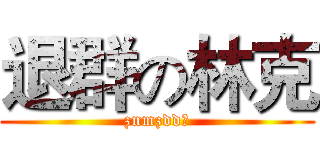 退群の林克 (znmzdd？)