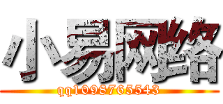 小易网络 (qq1098765543)