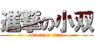 進撃の小双 (attack on titan)