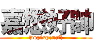 嘉懋好帥 (woptspencil)