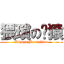 猥瑣の黃猿 (Kizaru Borsalino)