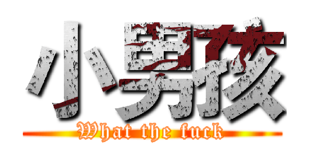 小男孩 (What the fuck)