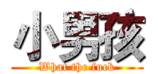 小男孩 (What the fuck)