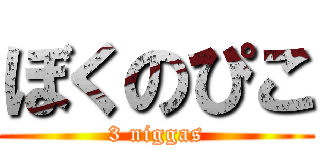 ぼくのぴこ (3 niggas)